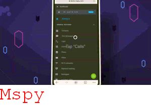 Download Aplikasi Mspy